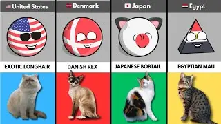Cat Breeds By Country | Countryballs