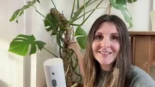 Mossify Mistr 🪴 Electric plant mister spray bottle for plants