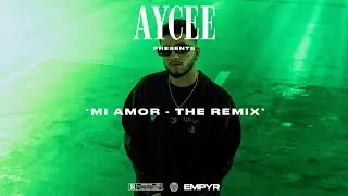 MI AMOR THE REMIX (SHARN & SURJIT BINDRAKHIA) | AYCEE | LATEST PUNJABI MIX 2023