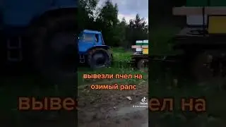 кочевая пасека