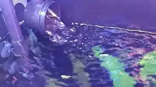 Поток воды от фильтра AQUAEL ULTRA FILTER 1200