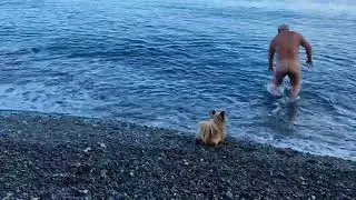 Алушта 21 01 24 стриптиз