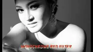 Simulation Film Black and White With RAW File Converter By Silkypix for Fujifilm X Series