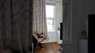 Wait for it🤪prank🐱👍😂 