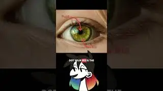 Master Eye Expressions: Common Mistakes & Pro Tips!
