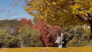days in the life, japan vlog, chasing autumn, winter | visual diaries