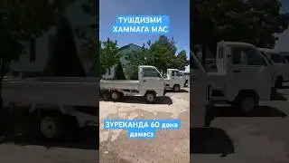 ХАММАГА МАС МИШ🤣🤣🤣