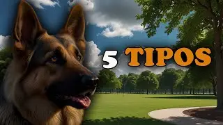 ¡Conoce las 5 Variedades de Pastores Alemanes! 🐕‍🦺✨