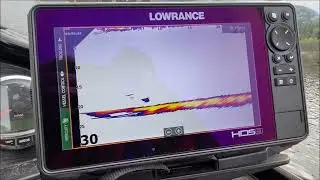 LiveSight fungerer uten modul på HDS Live med siste software!