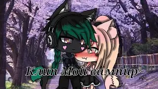 💌💓💕💞клип Мой вампир~ (гача лайф)💞💕💓💌