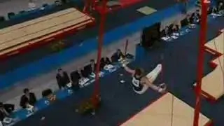 Danny Rodrigues (FRA) on rings