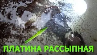 Нашёл платину! Родий