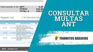 Consultar multas de tránsito ANT por placa o licencia de conducir (Actualizado)