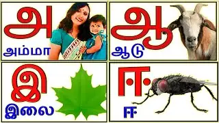 Uyir Ezhuthukal | Learn Tamil Alphabets/அ அம்மா 🤱 ஆ ஆடு 🐐 || அ ஆ இ ஈ   / உயிர் எழுத்துக்கள் /@prinit