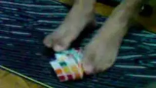 3x3x3 Rubik's Feet Solve 1:20.58