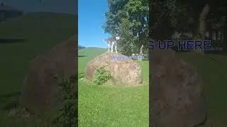 Husky loves climbing rocks!