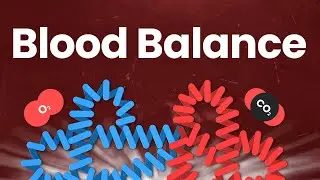 The Gorgeous Symmetry in Your Blood Chemistry