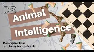 Memory in Chess