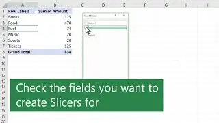 Video Filter data in a PivotTable   Excel