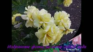 Избранные фото за июнь 2023 года