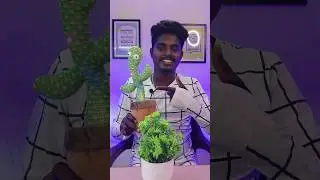 🤣 dancing cactus 🌵