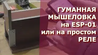 Гуманная мышеловка на ESP8266(ESP-01)