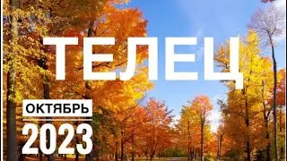 Телец ♉️ ОКТЯБРЬ 2023 года 🍀✨🔮🗝☀️💖Таро Ленорман прогноз предсказания