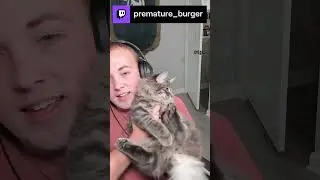 Theo is a long boy #live #livestream #cat #gaming