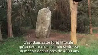 Le cloporte et le menhir