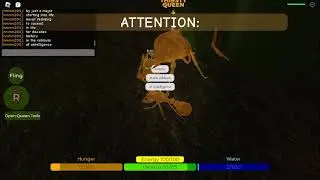 last video :)