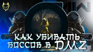 КАК УБИВАТЬ БОССОВ В DMZ