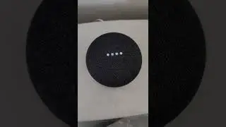 Google Home vs Alexa: Is $1M A Lot Of Money?