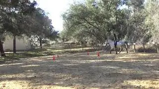 KARLA JAVI 1 16 19 2
