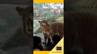 Mumbai Zoo Rani Bagh | Mumbai Byculla Zoo #shorts #ranibagh #mumbaizoo