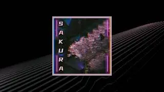 SAMURA1 - 