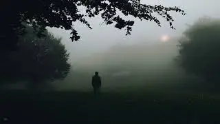 everything will be fine. (playlist)