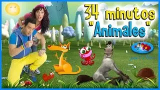 Canciones Infantiles - Canciones de Animales. JUAN 