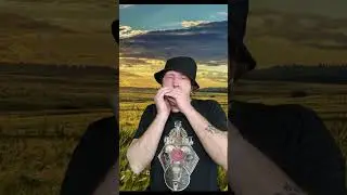 Серенький козлик. Губная гармошка С. В описании есть ссылка на полное видео с табами.