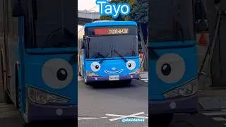 Fantastic Bus 💚💙💛❤️ Korea Bus Cute !! CJU 
