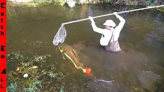 We DOVE INTO a FLORIDA CANAL to CATCH this MONSTER CATFISH!