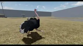 Ostrich Animation Showcase | Wild Savannah Recode Update News
