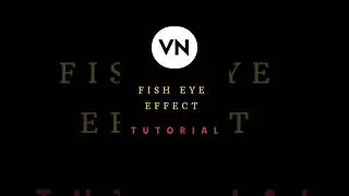 Fish Eye Effect in Vn Video Editor | Tutorial 