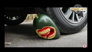 Experiment car vs watermelon.crushing crunchy and soft things by car.car vs water balloons