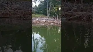 How in the World did i Miss it?!?