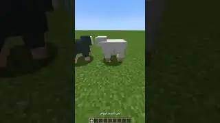 Did you recognize the song?🤔 #minecraft #minecraftshorts