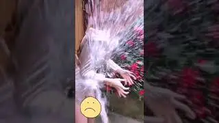 Когда руки крюки😂Смешные видео 2021 😁новинки 2021