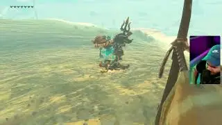 A RARE Zelda L