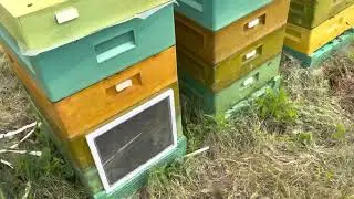Веранды(намордник) на улей ППУ Нижегородец, простой вариант