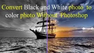How to Convert Black and White photo to Color Photo Without Photoshop & Apps