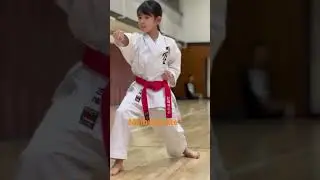Heiangodan#kata #karate #空手